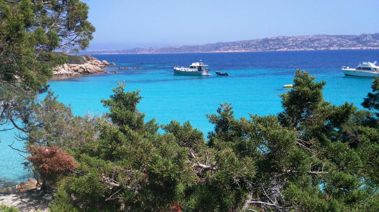 Domus De Janas Bed and Breakfast Santa Teresa Gallura Buitenkant foto