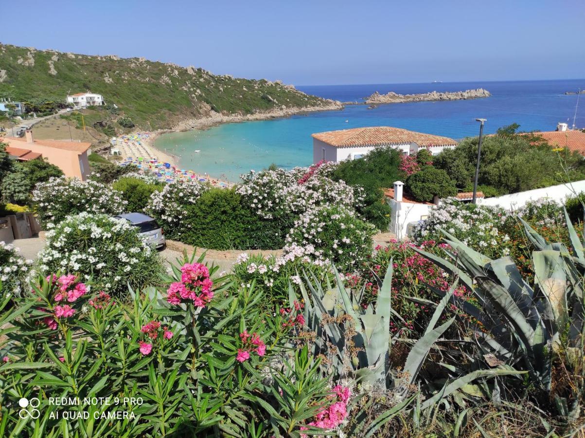 Domus De Janas Bed and Breakfast Santa Teresa Gallura Buitenkant foto