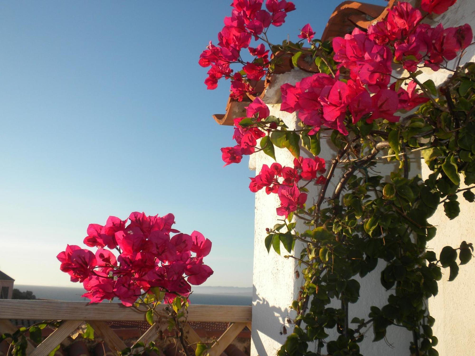 Domus De Janas Bed and Breakfast Santa Teresa Gallura Buitenkant foto